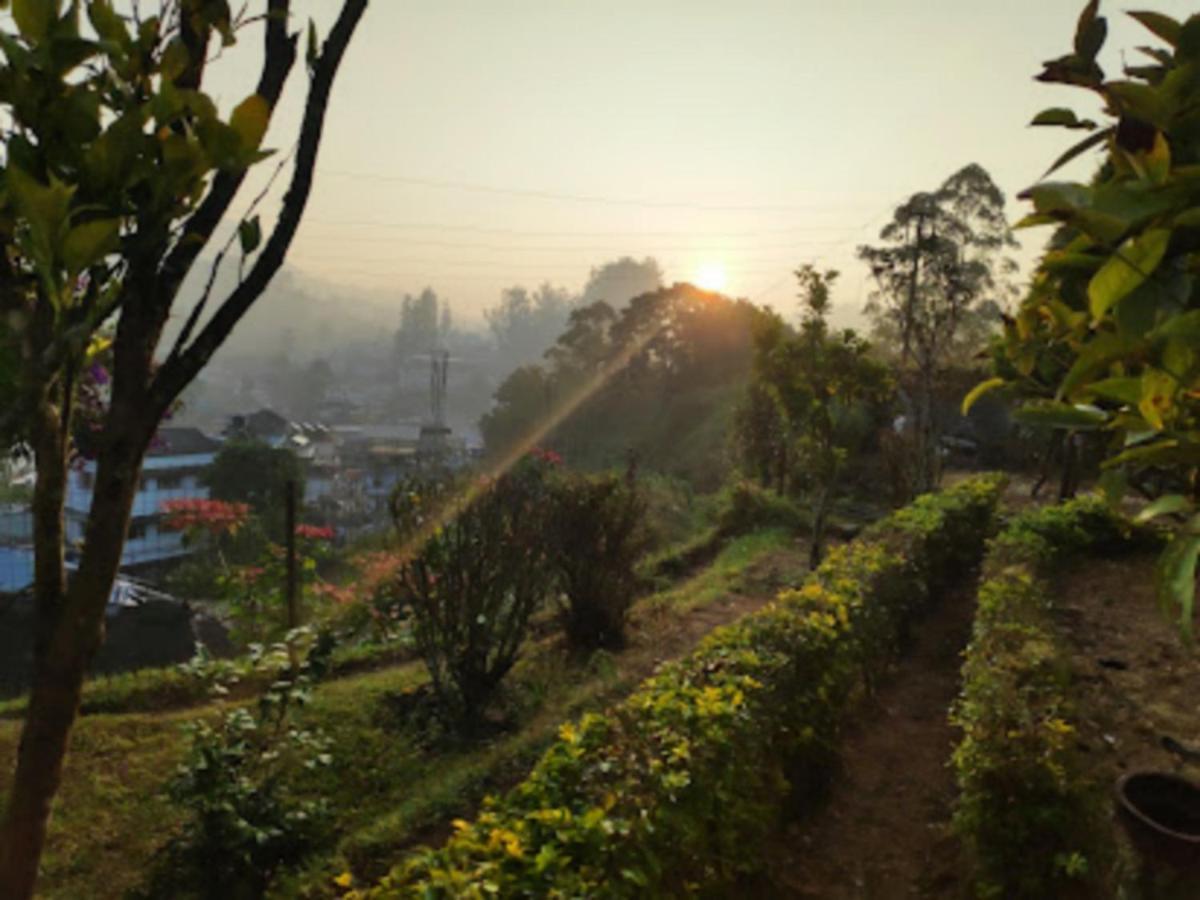 Hotel Rheinberg Town Haus à Munnar Extérieur photo