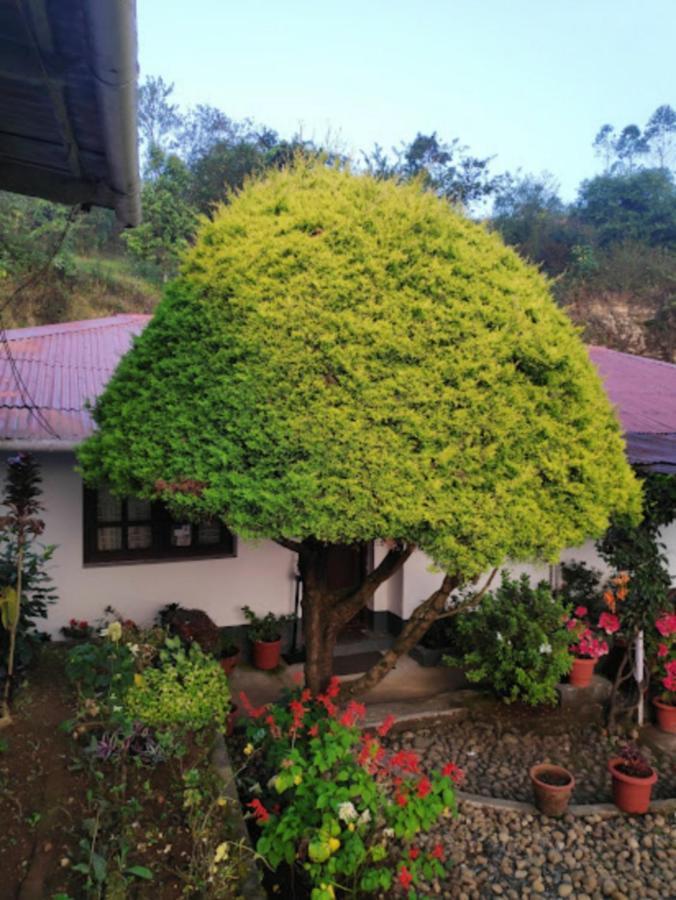 Hotel Rheinberg Town Haus à Munnar Extérieur photo