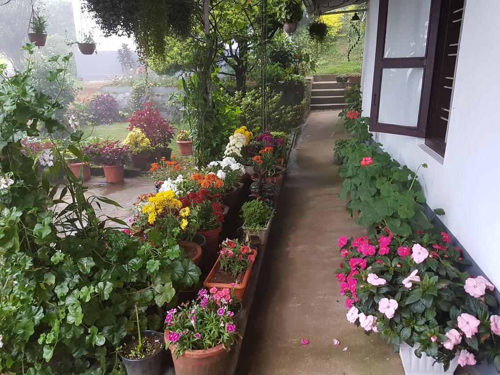 Hotel Rheinberg Town Haus à Munnar Extérieur photo