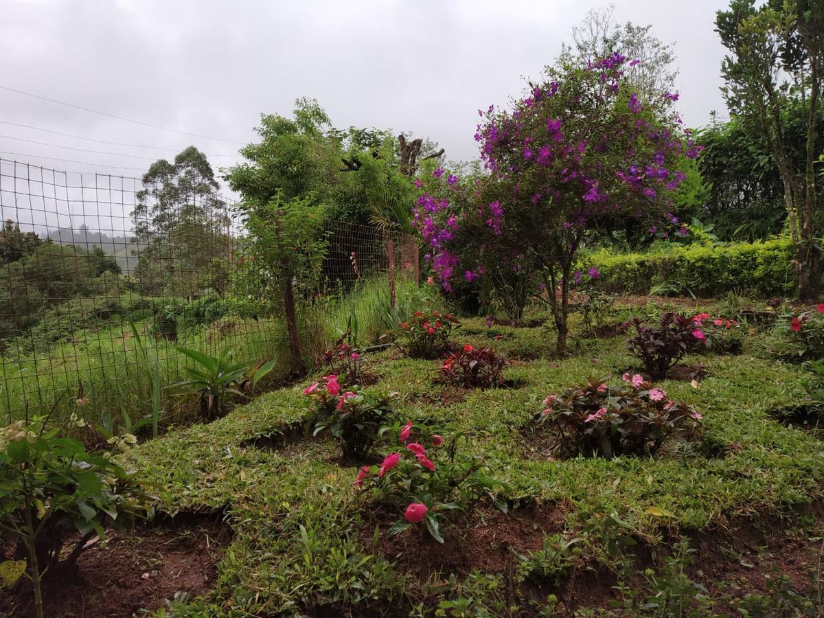 Hotel Rheinberg Town Haus à Munnar Extérieur photo